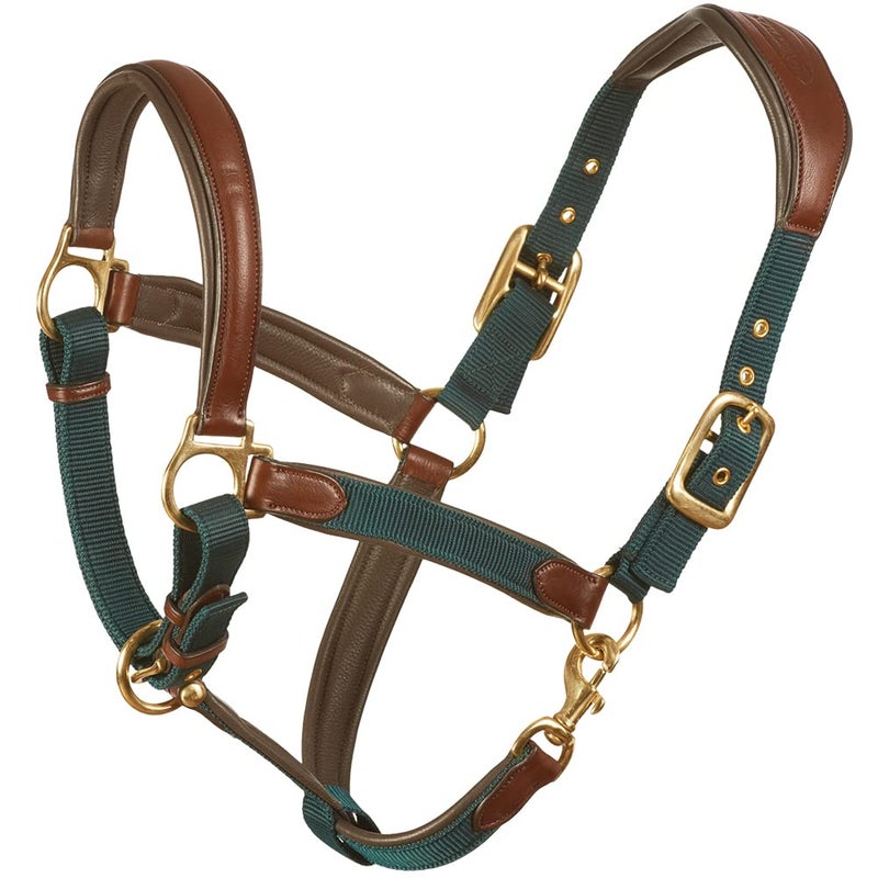 Ovation Equestrian Padded Leather Crownpiece Ergonomic Comfortable Adjustable Chin Luxor Cushion-Flex Halter, Green, Horse - Image 1